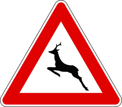 Illustrazione: Animali selvatici vaganti