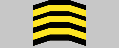 Immagine della domanda