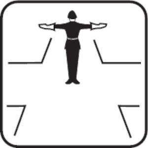 Immagine della domanda