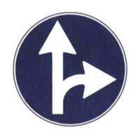 Immagine della domanda